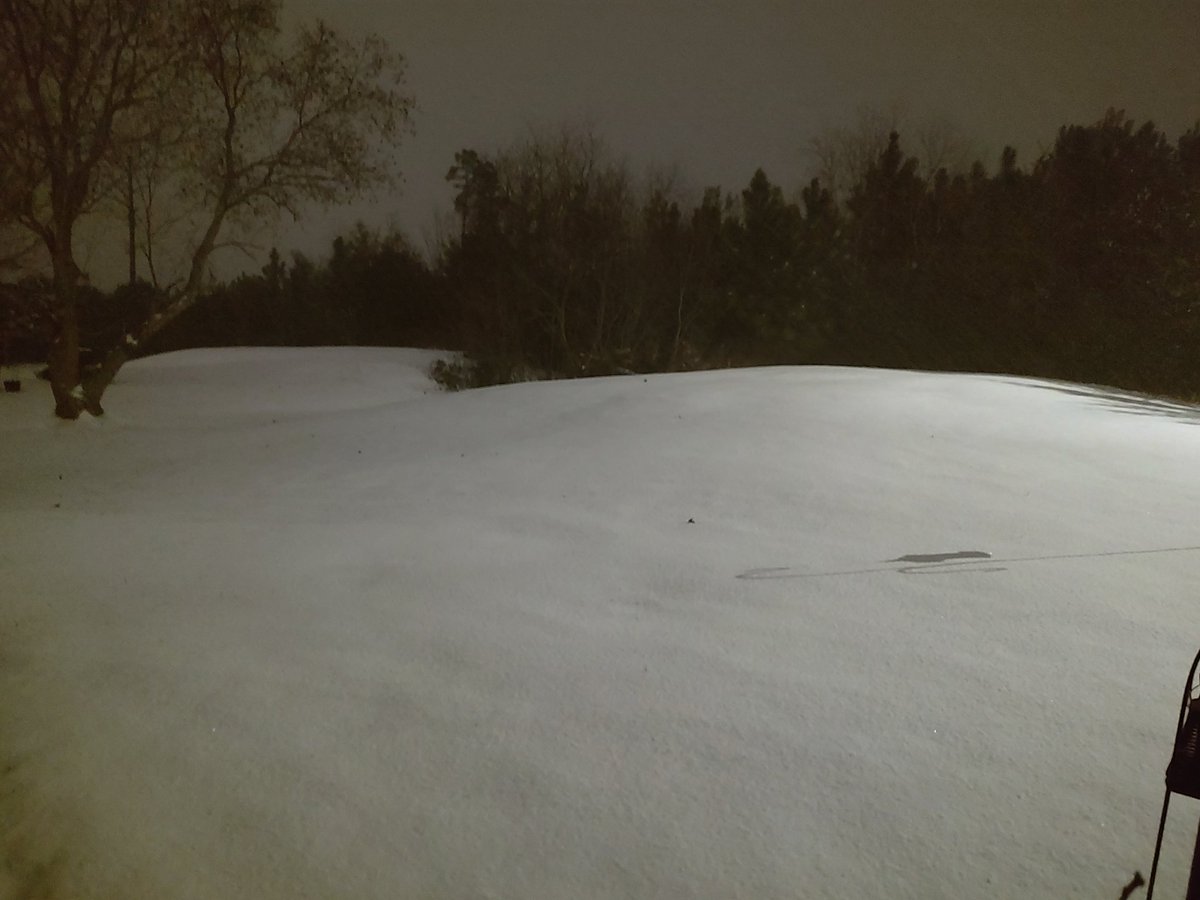 mike_gorebs2012's tweet image. We have about 2" right now and it's still coming down here in Florida. They say about 4-6 hours more until it stops! Love it!! 😂