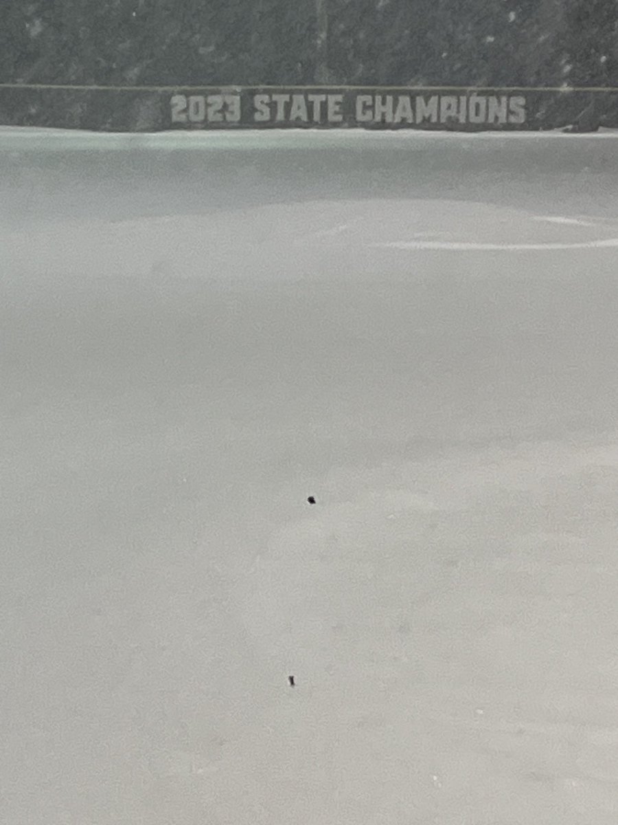 coachcompton10's tweet photo. Wow. Hey ⁦@Furncoach⁩ how long do you think it will take to get it ready? https://t.co/1Dlzzgz8Fd