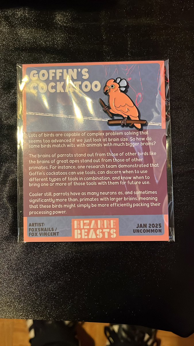 Rowbehr1's tweet image. Just received my second pin from @BizarreBeasts. My lady and I love the show and pins.