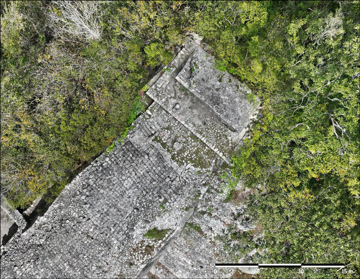 saberpolitico's tweet photo. #TULUM | Amplían trabajos de conservación en la zona arqueológica de #Cobá https://t.co/SbSfBvOhh4 a través de @saberpolitico https://t.co/RZnxDTcWTk