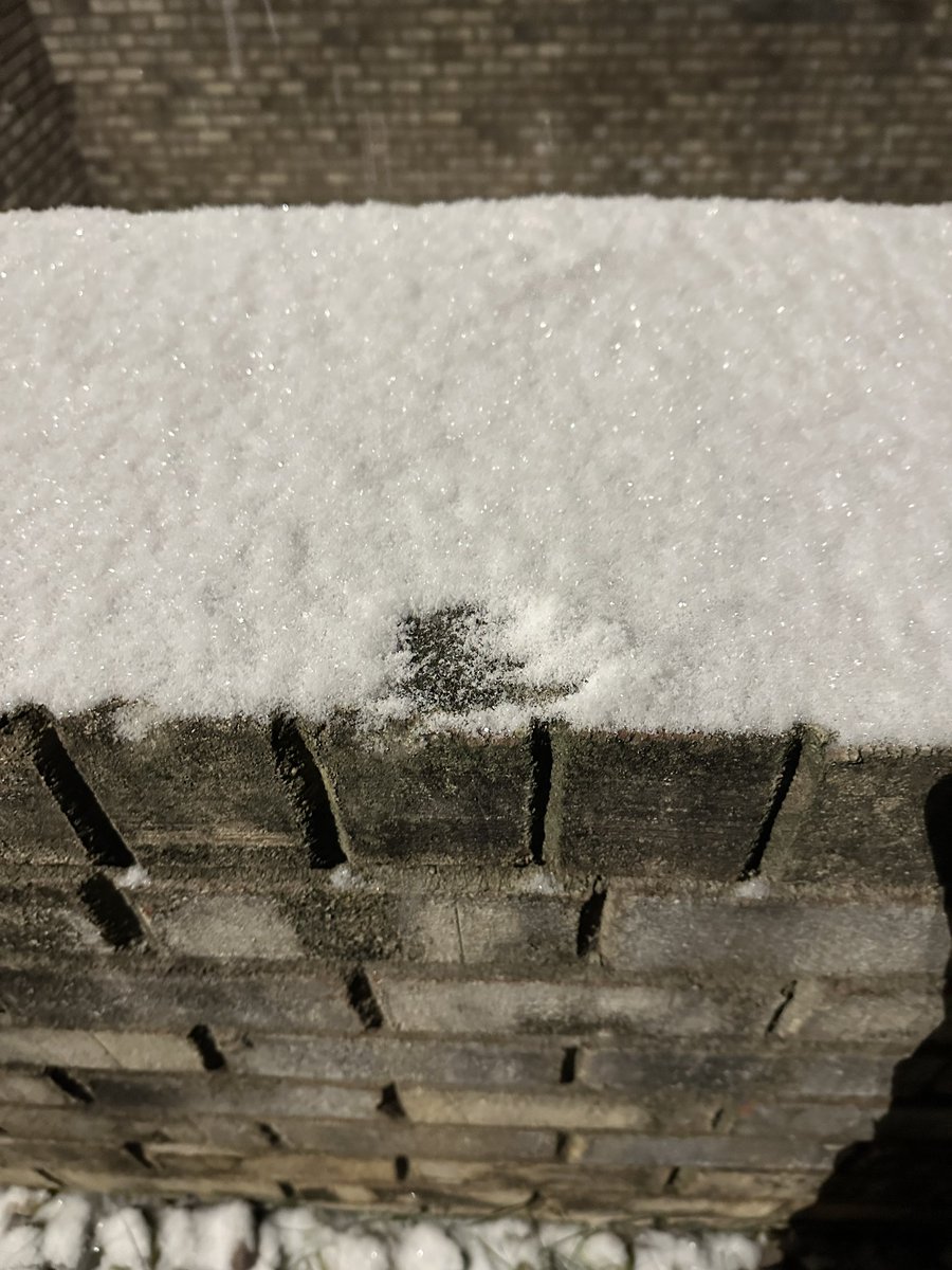 Linds_Gordon's tweet photo. @wxbrad heading out to play soon in Richfield! The small flakes have been coming down since 6 and continue to add up. I’m told hwy 52 is white. #stanlycounty #StanCo https://t.co/vvlLKAbqb4