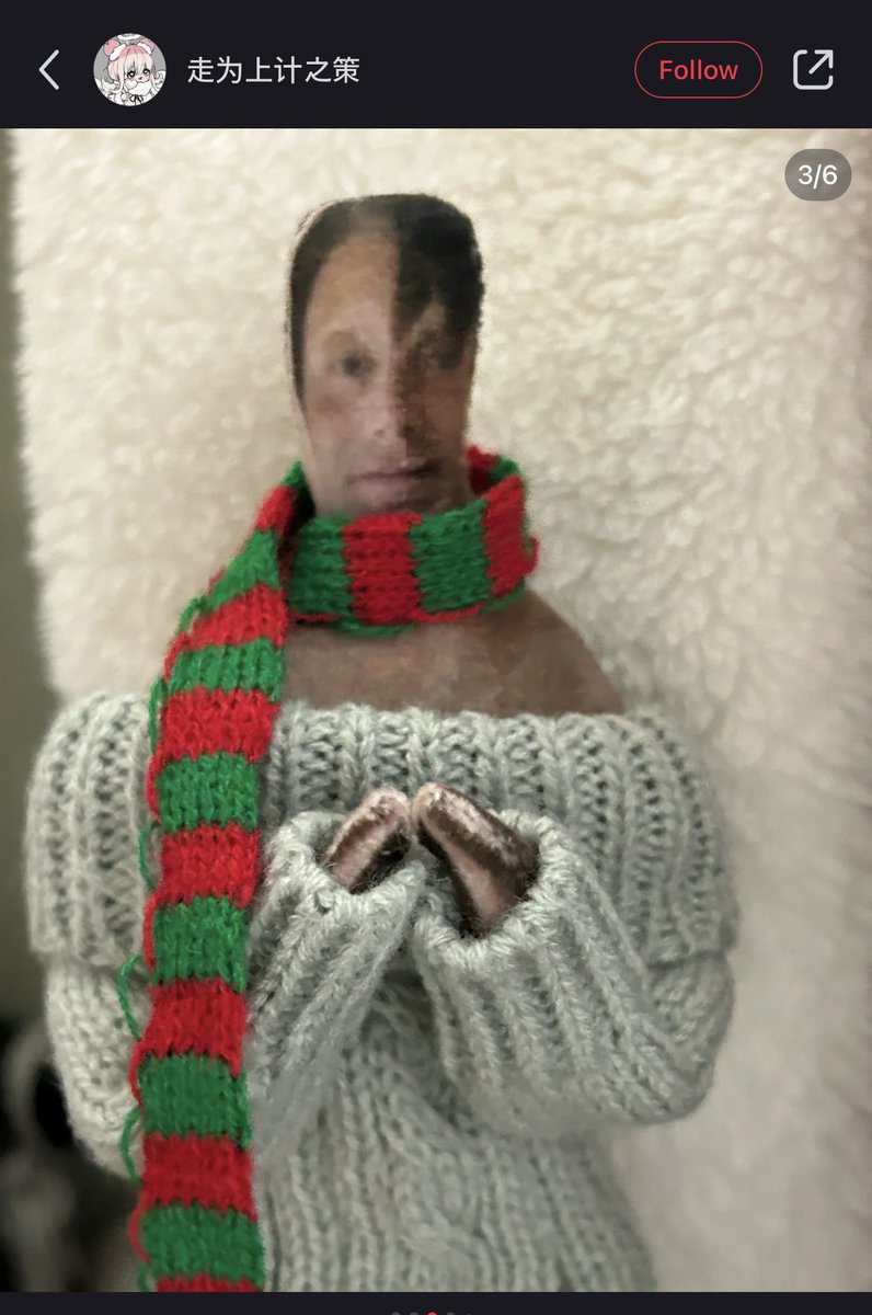 My favorite RedNote find is this one user who keeps dressing up her cursed Mads Mikkelsen JPG plushie