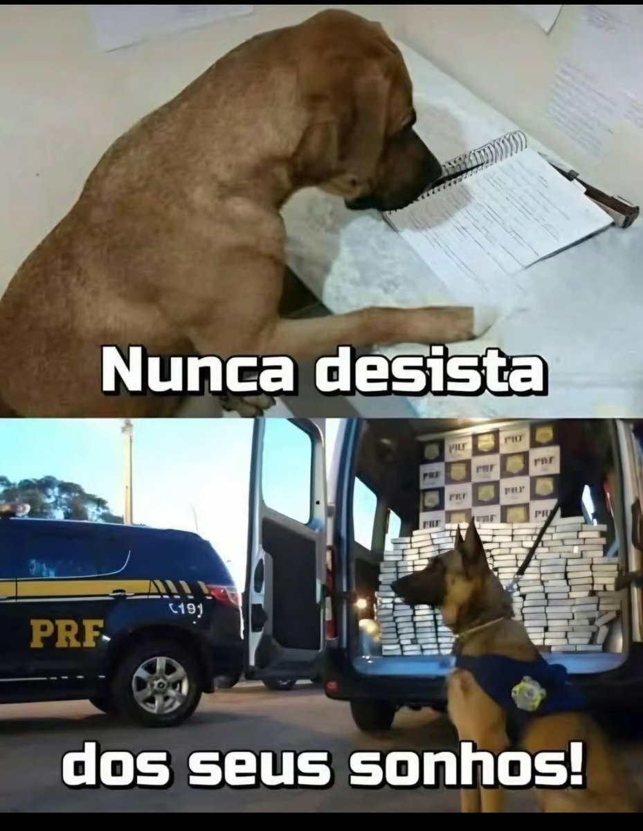 Azaphian's tweet image. 