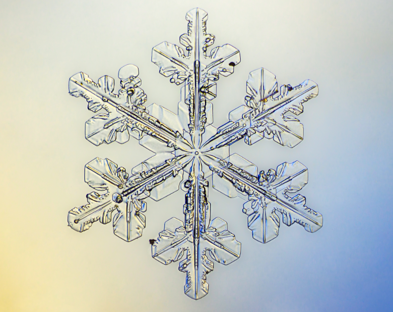 Due to extreme cold weather conditions, Shelby County Public Schools will operate on a Non-Traditional Instruction (NTI) Day on Wednesday, January 22nd. This is NTI Day #4 for SCPS.