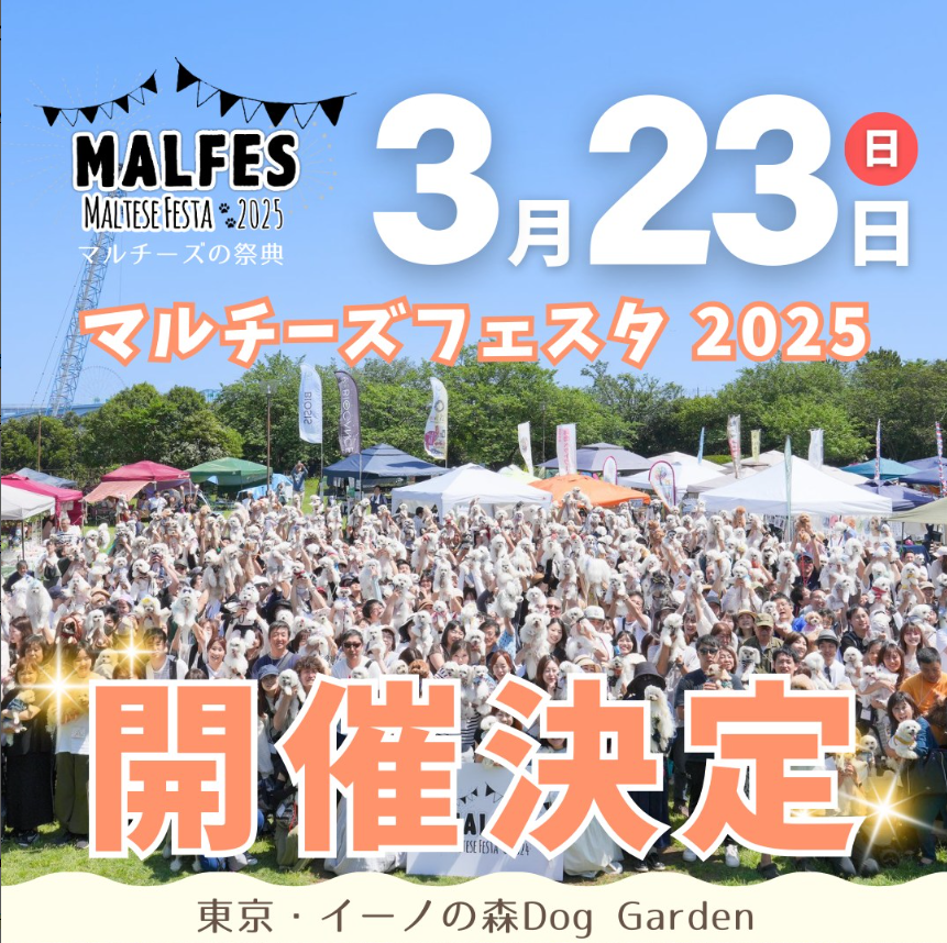 Outdoor_square's tweet photo. お隣のイーノの森DogGarden(@ino_foresto)さんで
3月23日(日)に【マルチーズフェスタ 2025】が開催されます✨✨
#マルチーズ #マルフェス #マルフェス2025 #マルチーズフェスタ2025 #夢の島マリーナア���トドアスクウェア #わんことおでかけ #わんことbbq #江東区bbq https://t.co/t0CF3Fn4s0