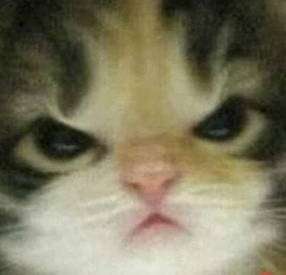 Minha irmã com ciúmes é exatamente assim: