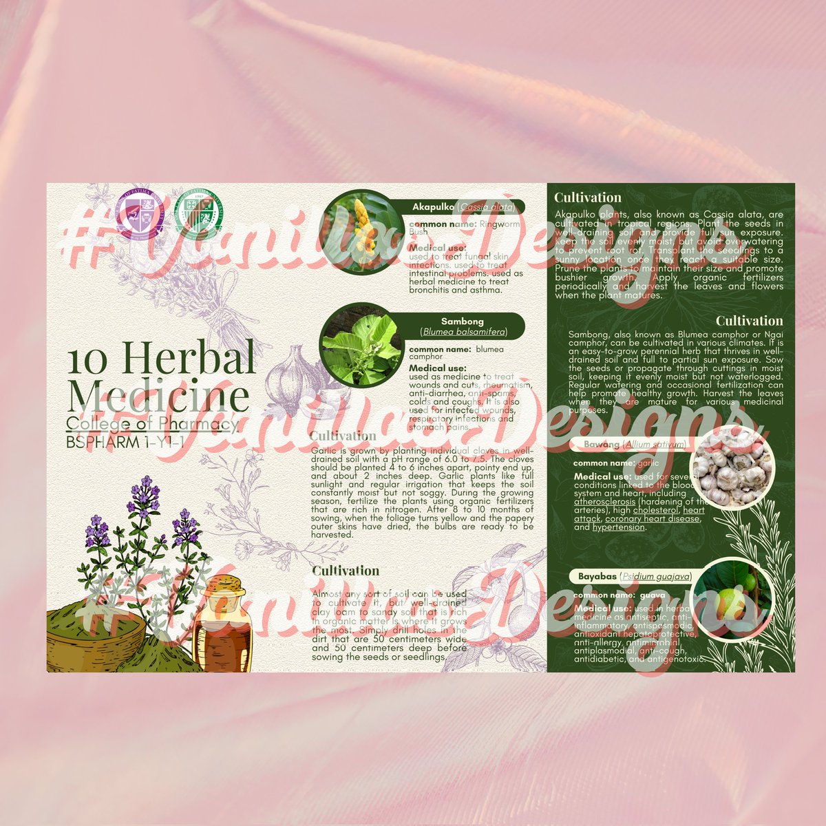 𝓥𝓪𝓷𝓲𝓵𝓵𝓪 is OPEN tweet media