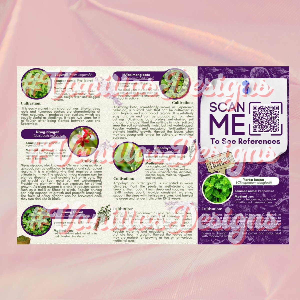 𝓥𝓪𝓷𝓲𝓵𝓵𝓪 is OPEN tweet media