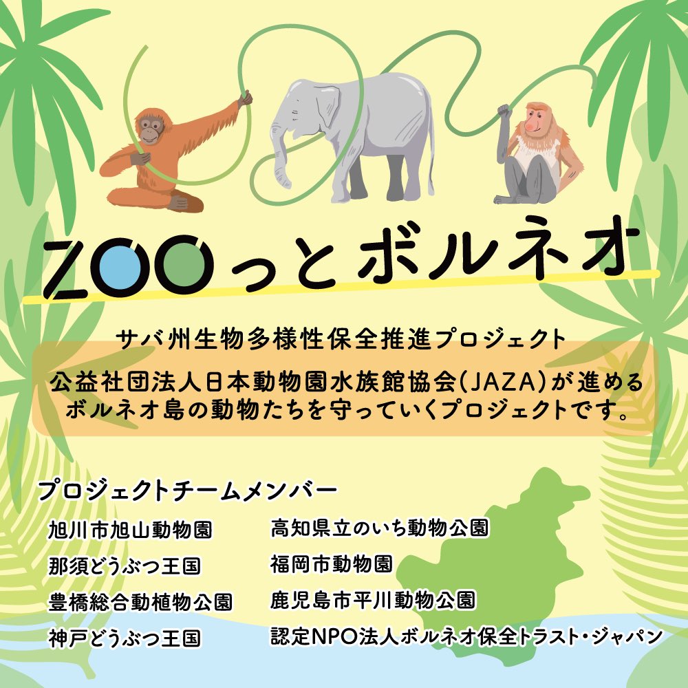 asahiyamazoo1's tweet photo. 【お知らせ】

「ZOOっとボルネオ」
7園インスタライブリレーを行います

1月26日日曜日、各園のボルネオの動物の様子やエピソード、それぞれの取り組みなどを、各園のアカウントから順次配信します。
旭山動物園は12時からです。
お楽しみに🦧🐢

https://t.co/9DNE7lypgh https://t.co/9zzntcONth