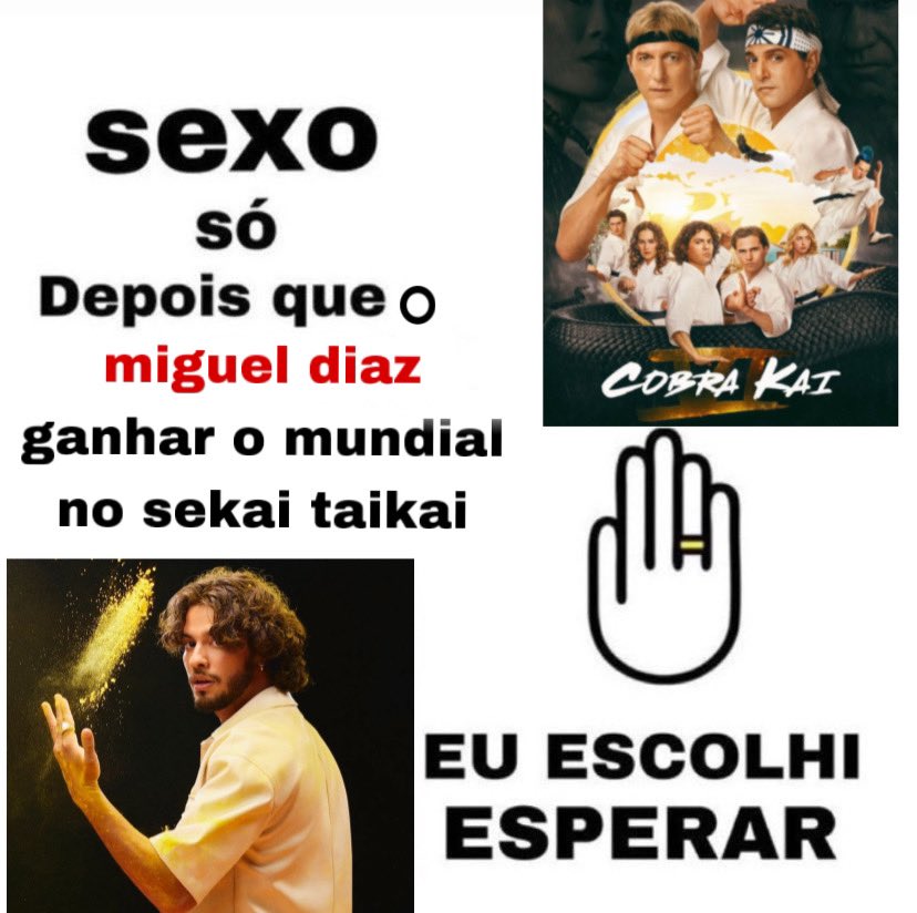 acervo xolo mariduena tweet media