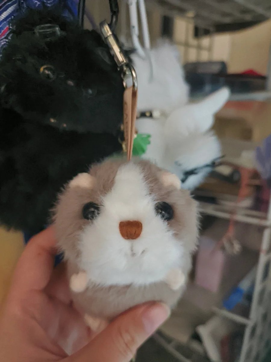 Janrinlay's tweet image. 今日もぬいぐるみたちが私を見守ってくれてる。こんなに優しい目で見られたら、疲れも飛んでっちゃうね🐻💖