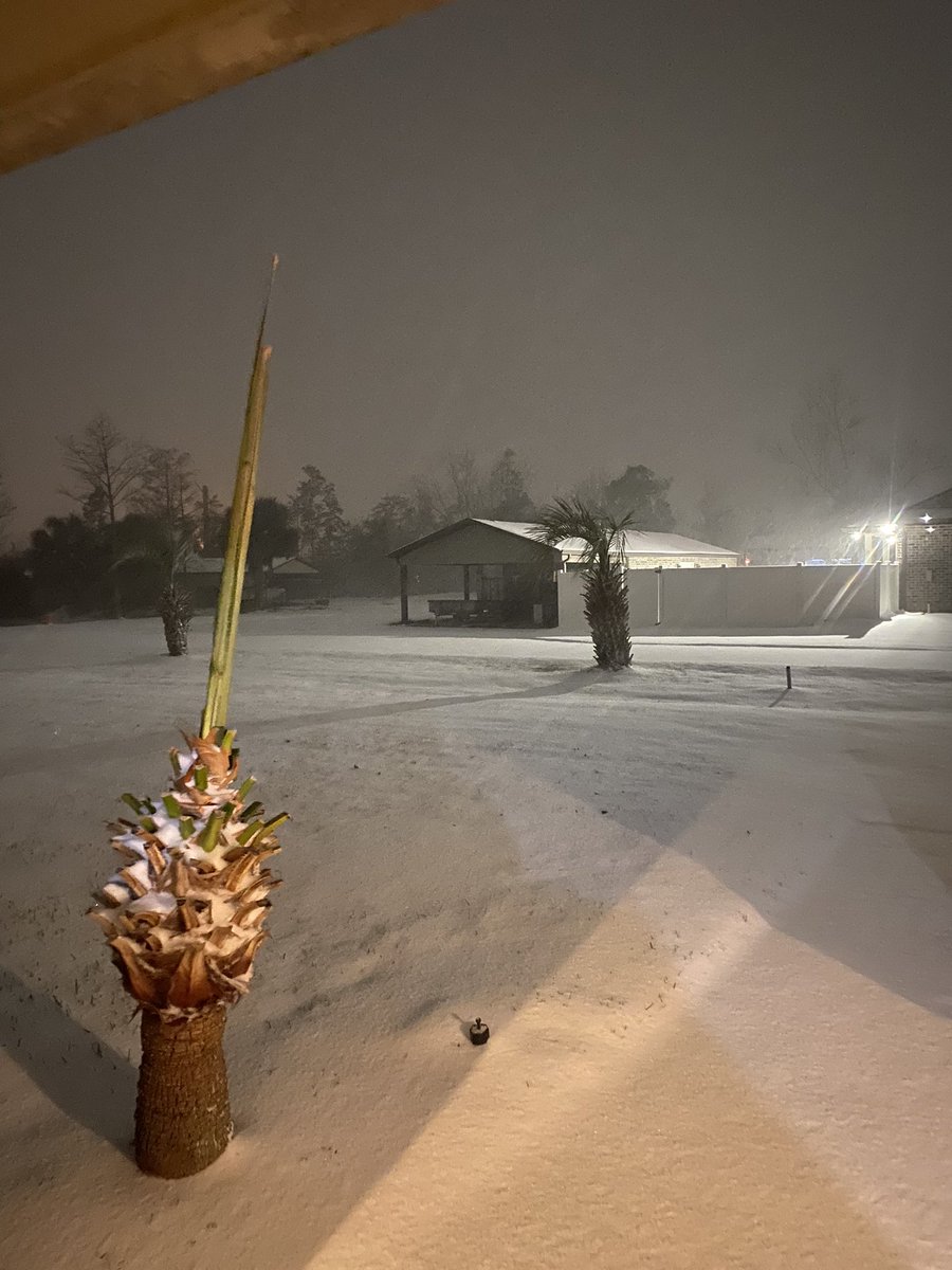 ChipWesterly9's tweet photo. It’s colder than an Eskimos tits outside!!! &amp; it’s snowing in Florida…One of the signs of a pending apocalypse I’m sure!!!
@SPEARATICS @RenegadeReport1 https://t.co/GbRPLx805c