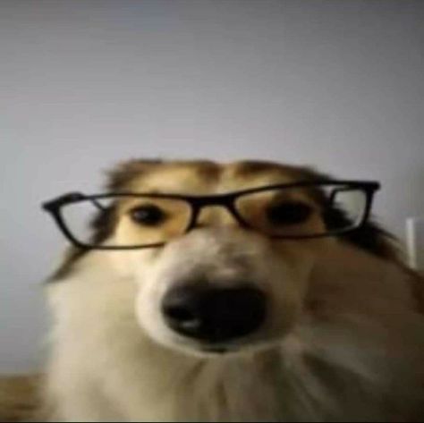 Otacon