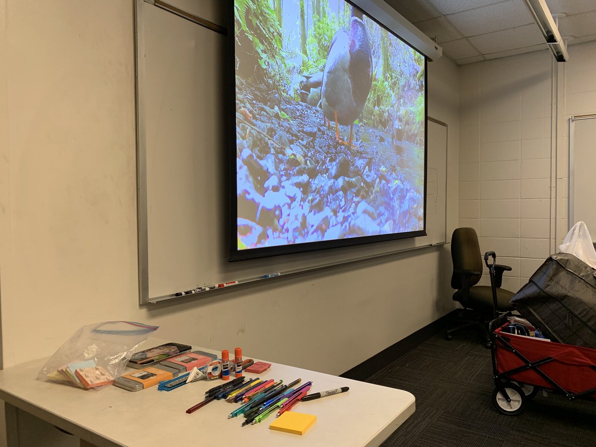 Society of Furries @ Tech tweet media