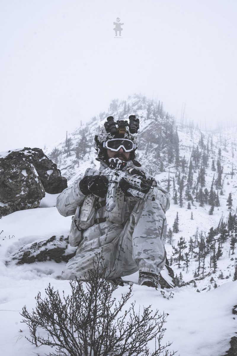 War Doll tweet media