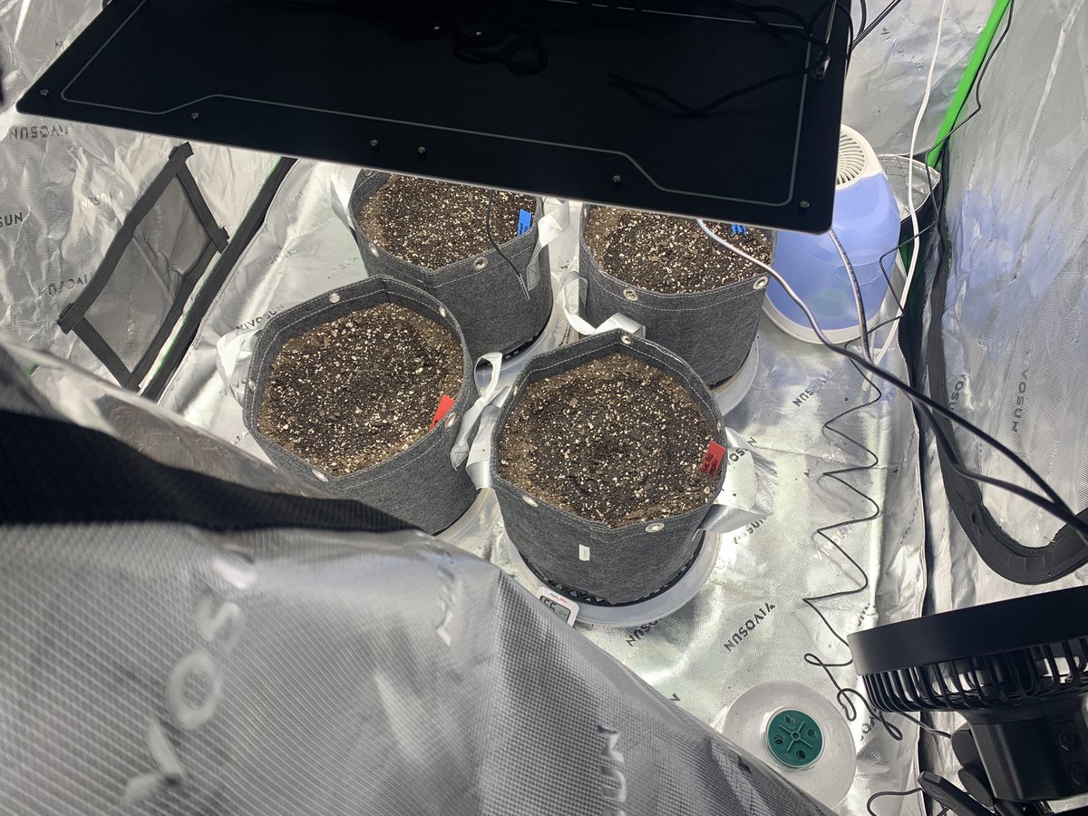 GrowsOhio's tweet photo. Blue Dream is thickening up in the stem, should see some growth in a few days!!! Just waiting for sprouts, and the autos are cooking!!!!
.
#vivosun #marshydro #organic #foxfarm #gaiagreen #buildasoil #autoflower #loyaltothesoil #cannafam https://t.co/2ehcPhVWnS