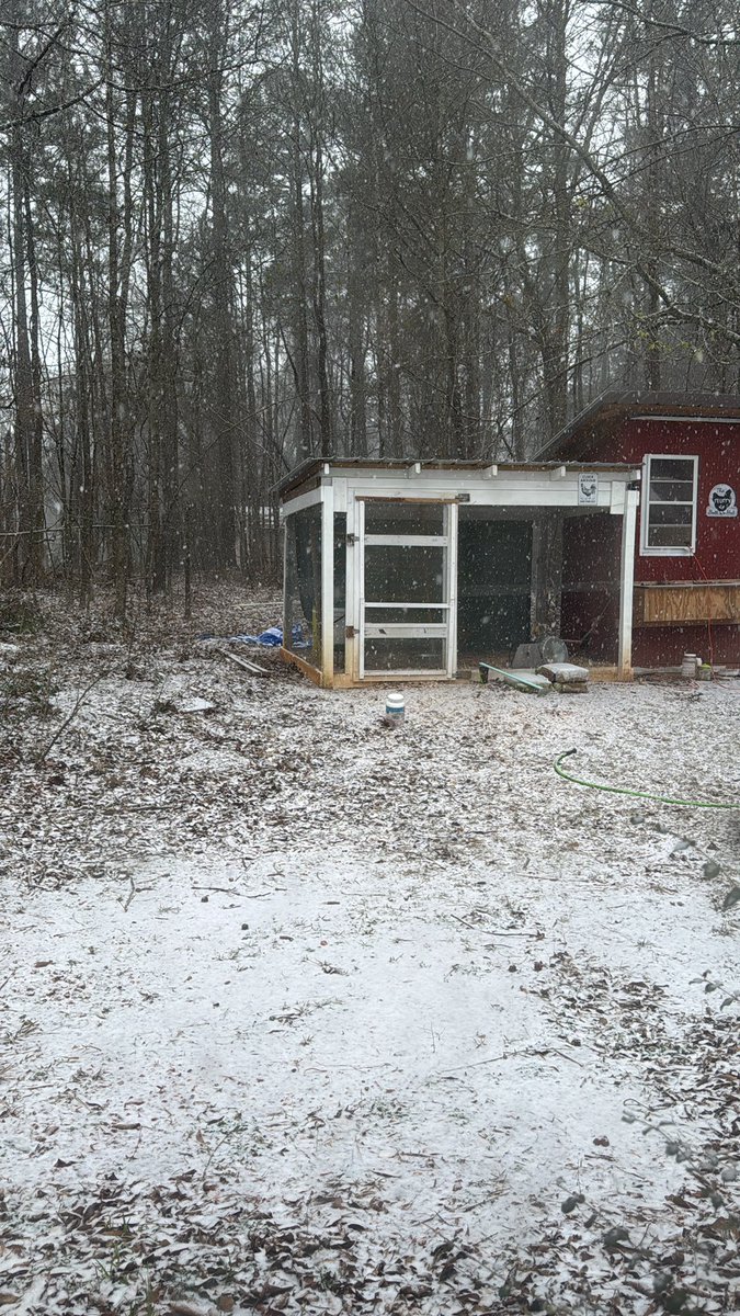especiallyemILY's tweet photo. @ryanhallyall @NWSAtlanta snowing in Newnan GA! https://t.co/sNClCADgex