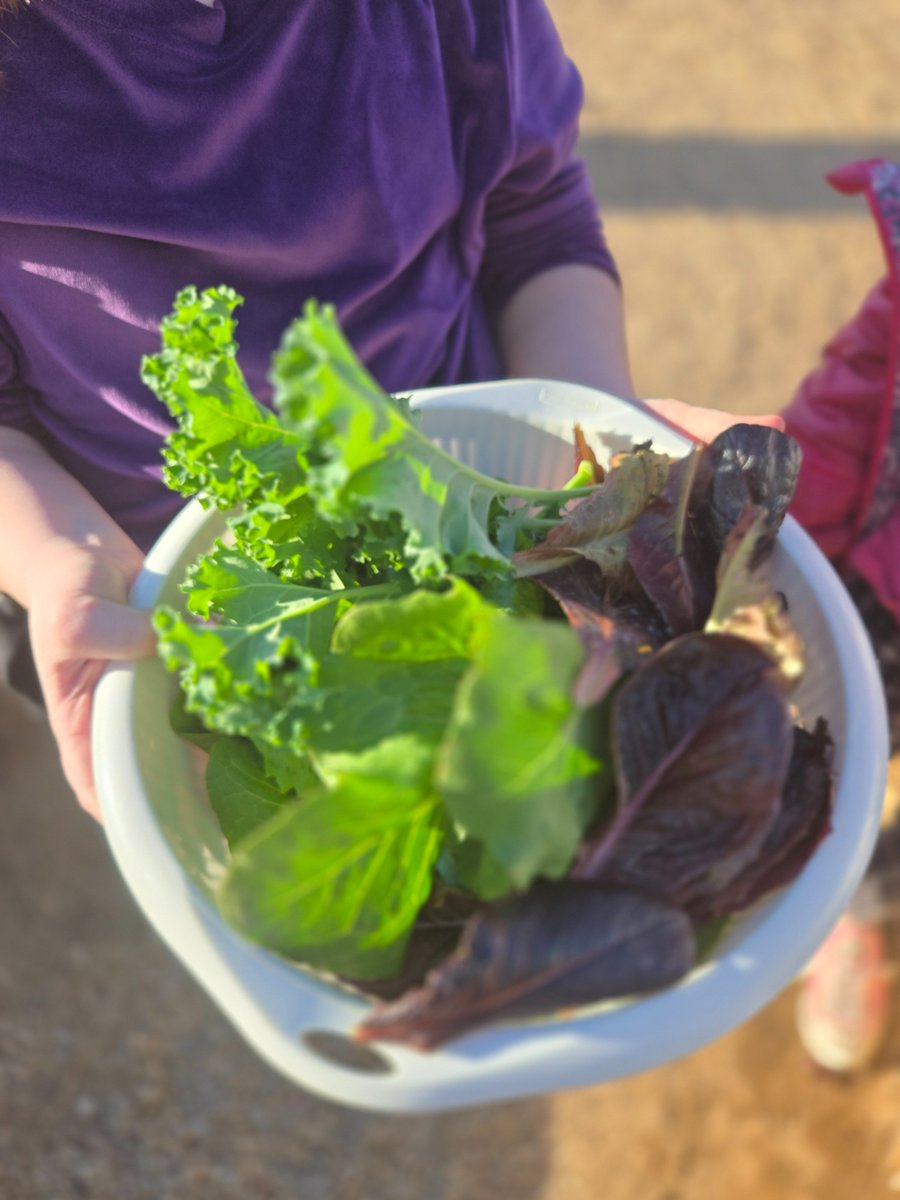 Buckeye Elementary School District tweet media