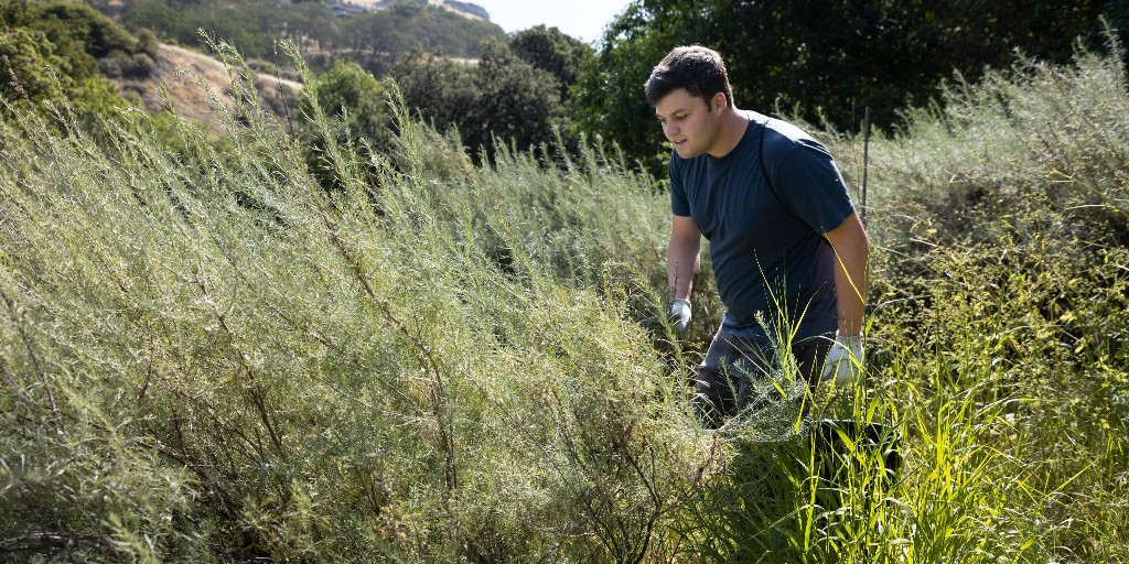 SJSU alum Edgar McGregor has made huge impact as a climatologist, warning Altadena of wildfire risks. 

Watch his CBS interview:  ow.ly/nJWv50UKpTJ

#SJSUAlumni #CommunityHero #WildfireSafety