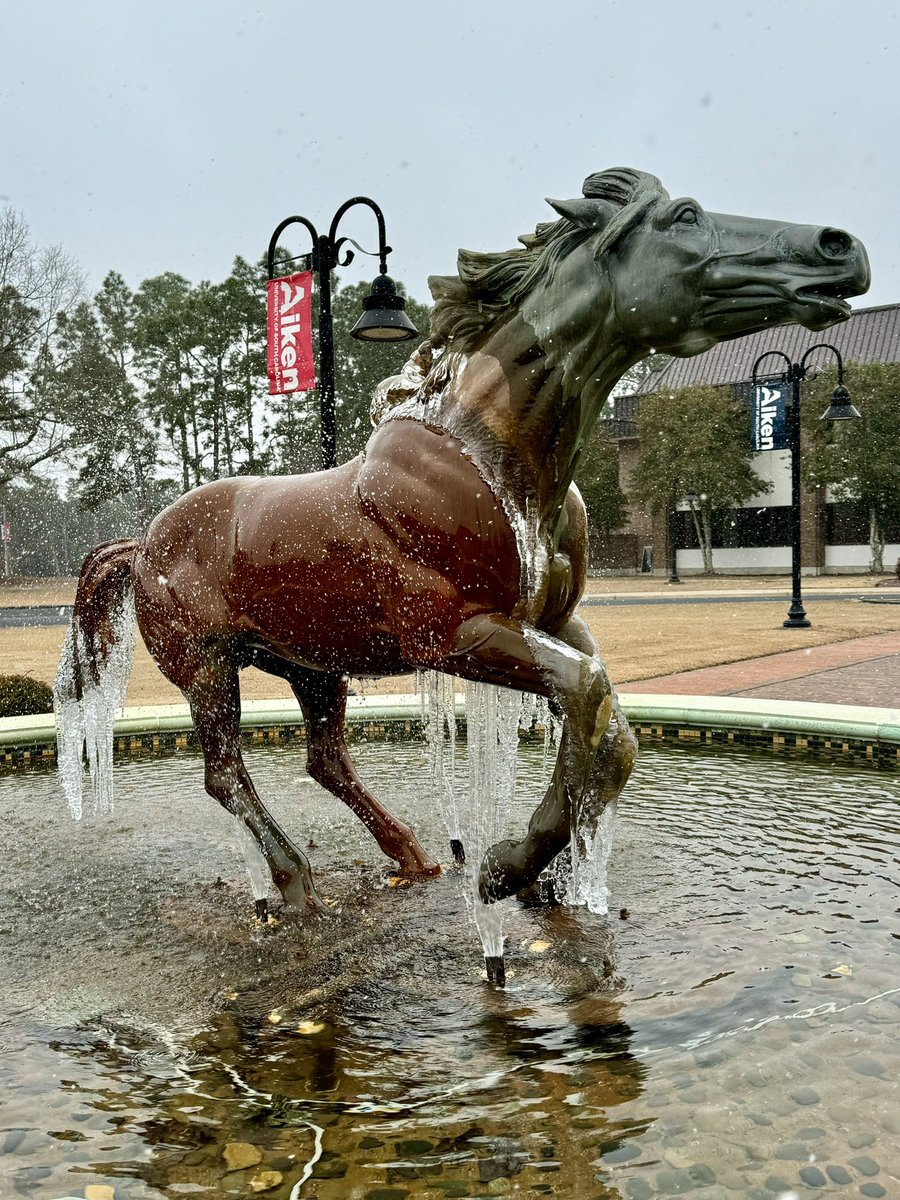 It’s a chilly ❄️ day in #AikenSC! Hope everyone stays safe &amp; warm indoors til the warm 🌞 reappears!