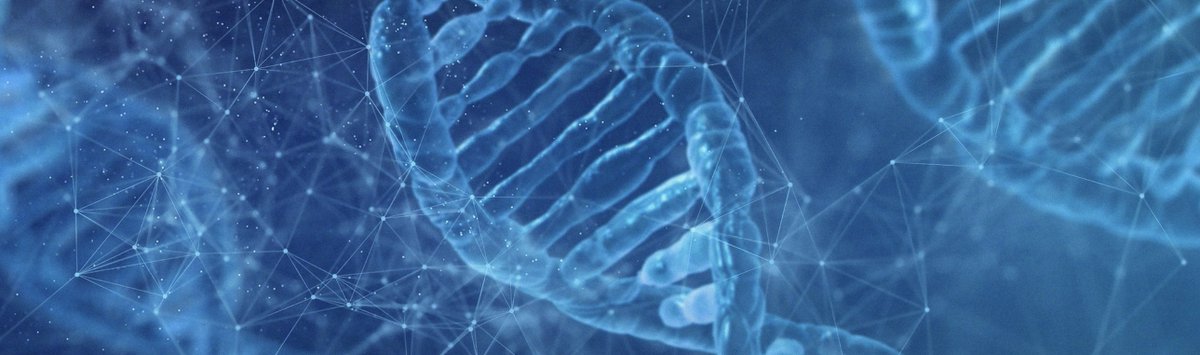 UofTDSI's tweet photo. Data science is driving breakthroughs in countless areas but a lack of availability of experimental training data has limited its impact on drug discovery.

Learn about the "Galvanizing Data Science Applications in Early Stage Drug Discovery" project:
🔗https://t.co/76fZkWcJD8 https://t.co/0sWNLcFXAL