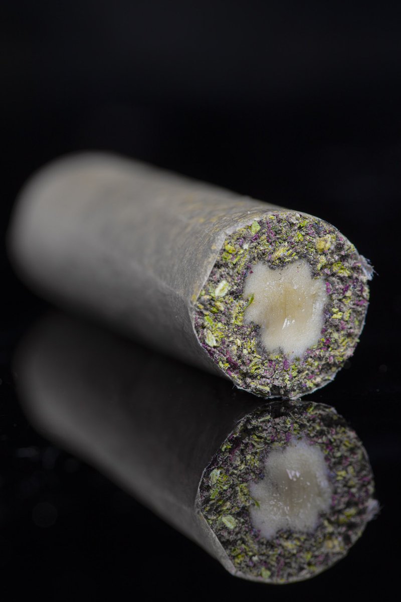 Terpshotzphotography tweet media