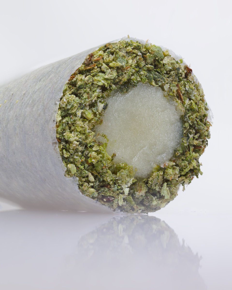 Terpshotzphotography tweet media