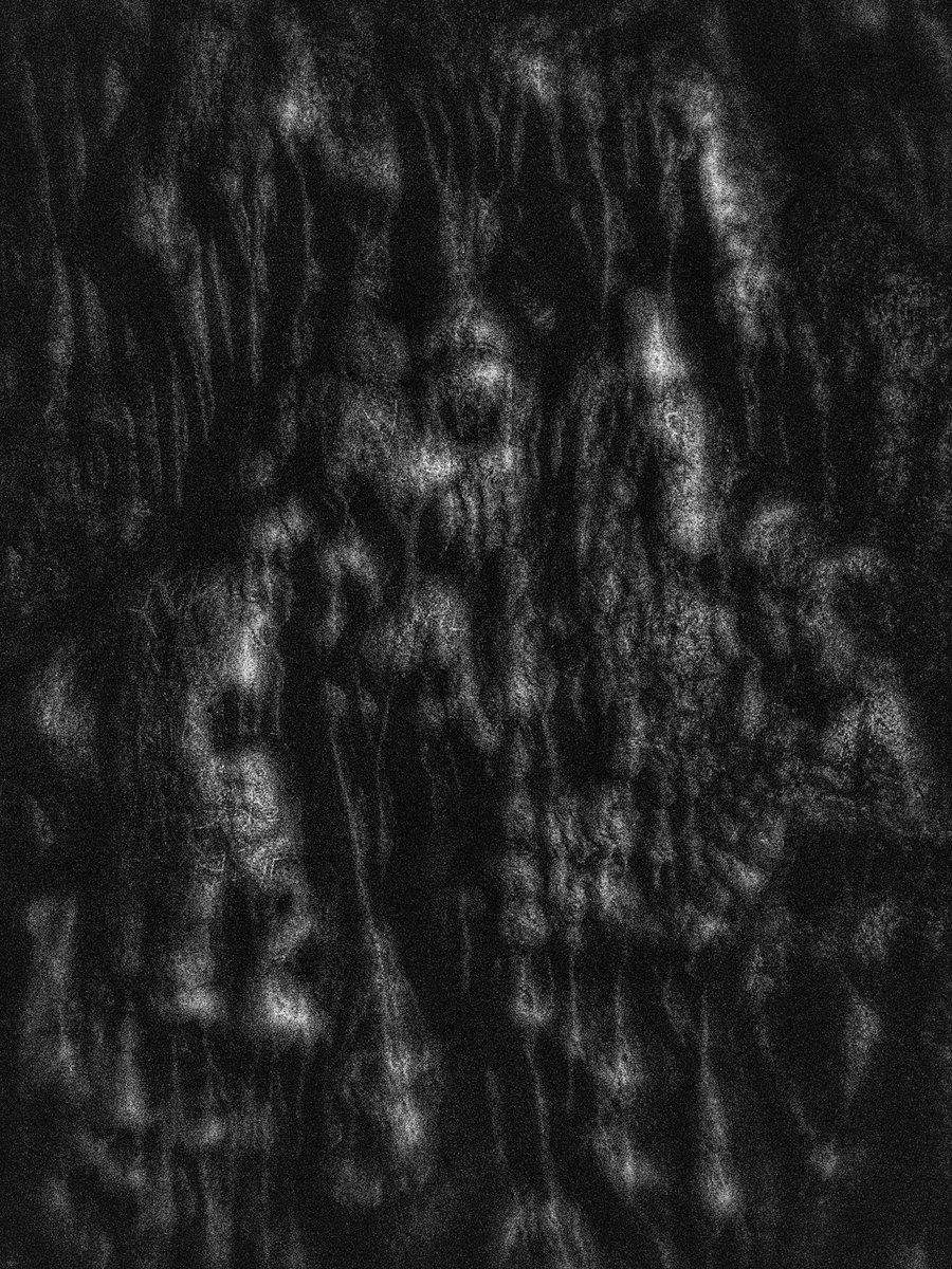 1 have just co11ected "Screams &amp; Whispers II" by <a href="/ilknuryavasci/">İlknur〰️</a> on <a href="/objktcom/">objkt</a> 

The scream inside me was just a whisper in the cave.  

Digital mixed media.

objkt.com/tokens/hicetnu…