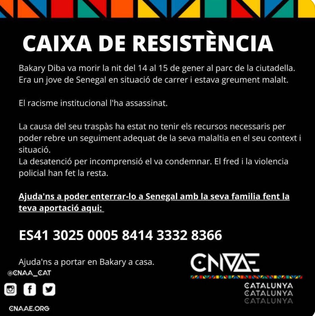 Andrea McIntosh tweet media