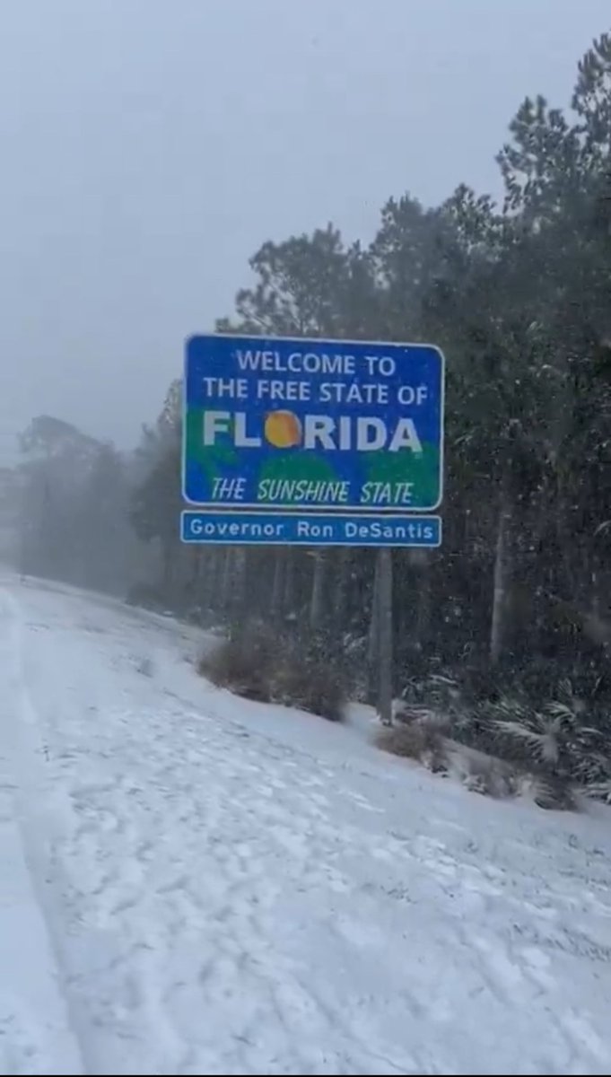 Eric P🍊🧡 tweet media