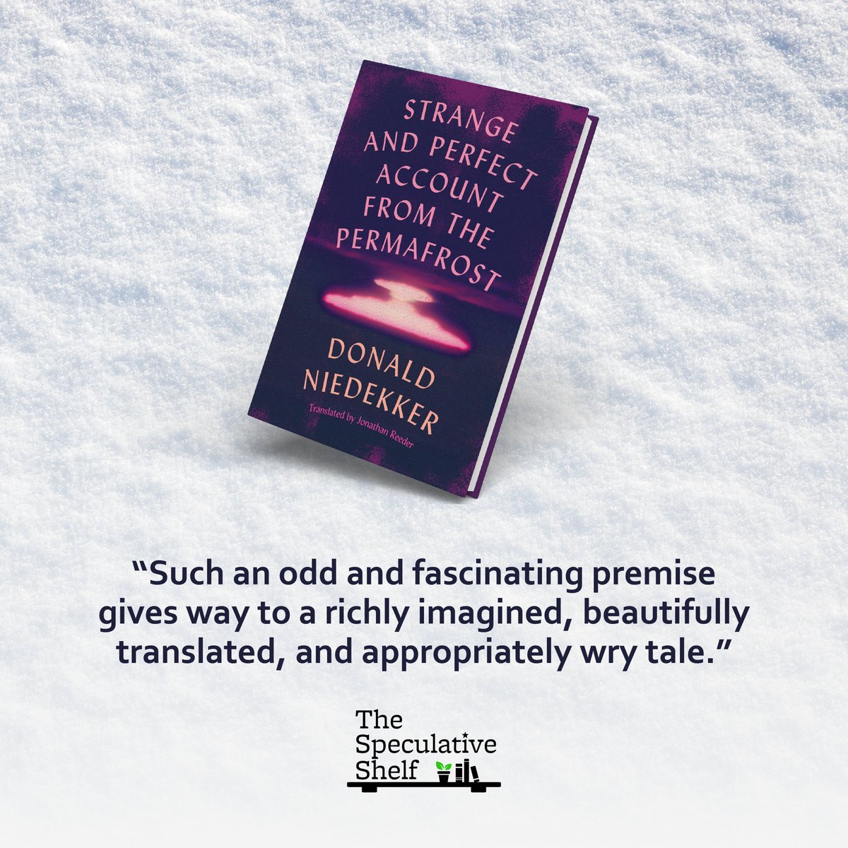 Review: Strange and Perfect Account from the Permafrost (May 2025) by Donald Niedekker (t. Jonathan Reeder) 🗺️ "Such an odd and fascinating premise gives way to a richly imagined, beautifully translated, and appropriately wry tale." ⚓️ speculativeshelf.com/2025/01/21/rev…