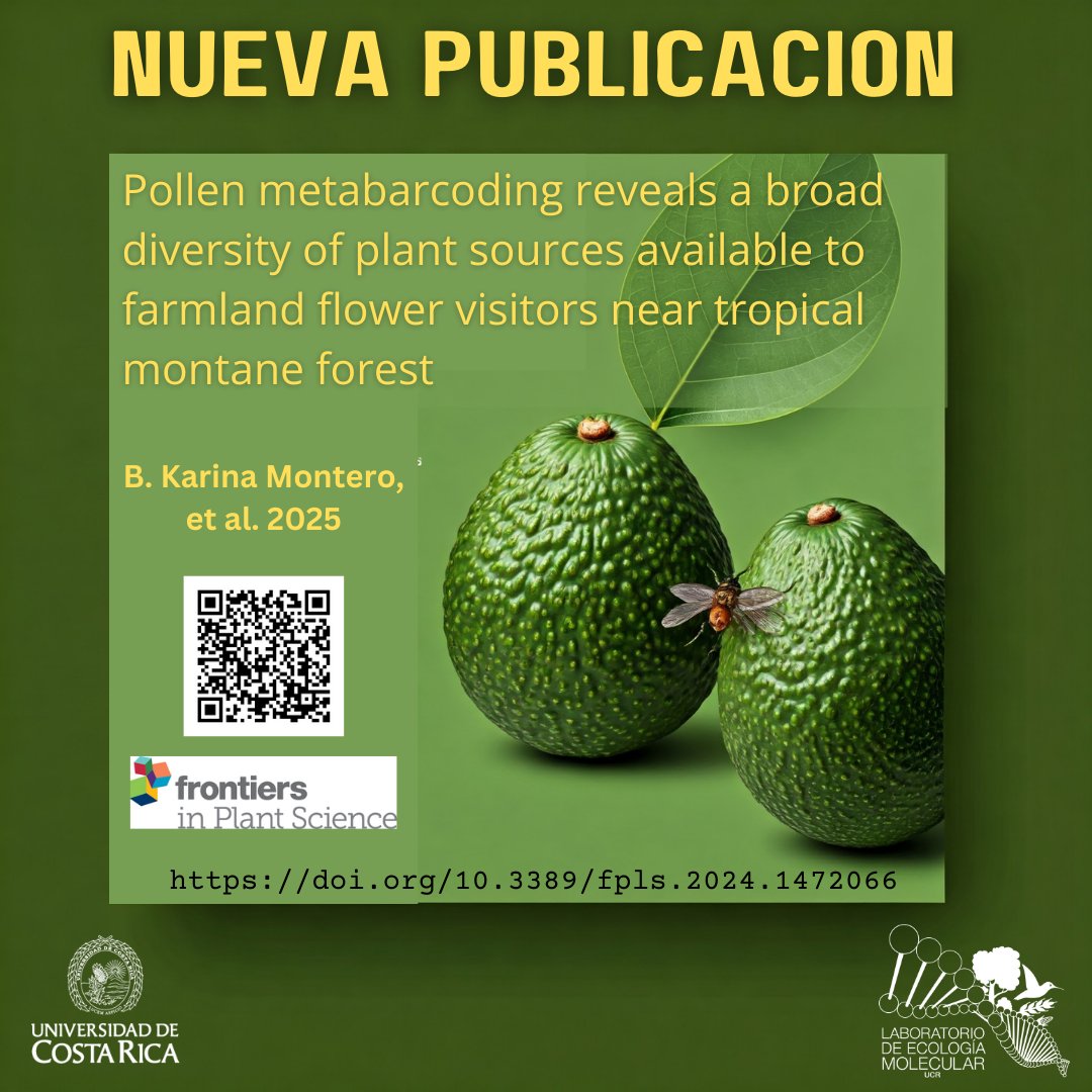E_J_Fuchs's tweet photo. ¡Nuestra nueva publicación!  Estudio con metagenómica demuestra que áreas protegidas ayudan a la polinización de cultivos de zonas altas como el aguacate, manzana y duraznos. 

https://t.co/akuYCEjr0d https://t.co/P5833ddlw2