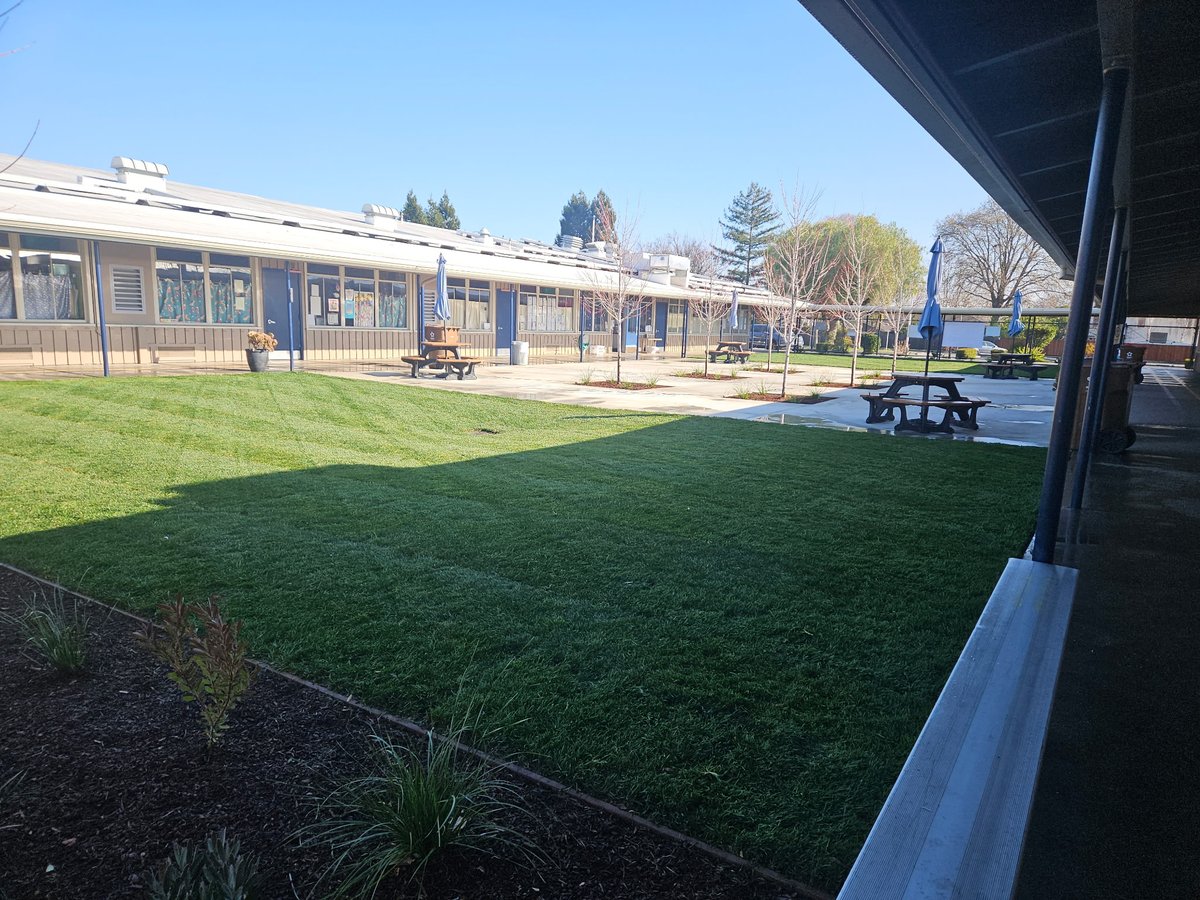 Strandwood El (@strandwoodel) on Twitter photo A huge shout out to Matt Cartwright, CK Landscape, and our amazing PTA for a beautiful new courtyard! Fresh, green grass, automatic watering, drainage, and beautiful, hearty plants. Thank you for supporting Strandwood! <a href="/MtDiabloUSD/">MDUSD</a> <a href="/mraclark29/">Dr. Adam Clark</a> <a href="/demartini_e/">Erin DeMartini</a> A huge shout out to Matt Cartwright, CK Landscape, and our amazing PTA for a beautiful new courtyard! Fresh, green grass, automatic watering, drainage, and beautiful, hearty plants. Thank you for supporting Strandwood! <a href="/MtDiabloUSD/">MDUSD</a> <a href="/mraclark29/">Dr. Adam Clark</a> <a href="/demartini_e/">Erin DeMartini</a>