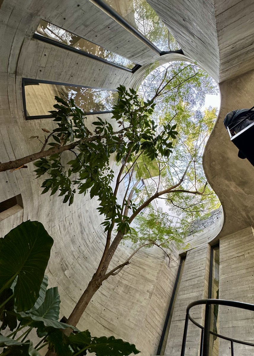 Jardín interior en el Conjunto Residencial Árbol de Fuego diseño de Rafael Sámano Arquitectos en la alcaldía Coyoacán.