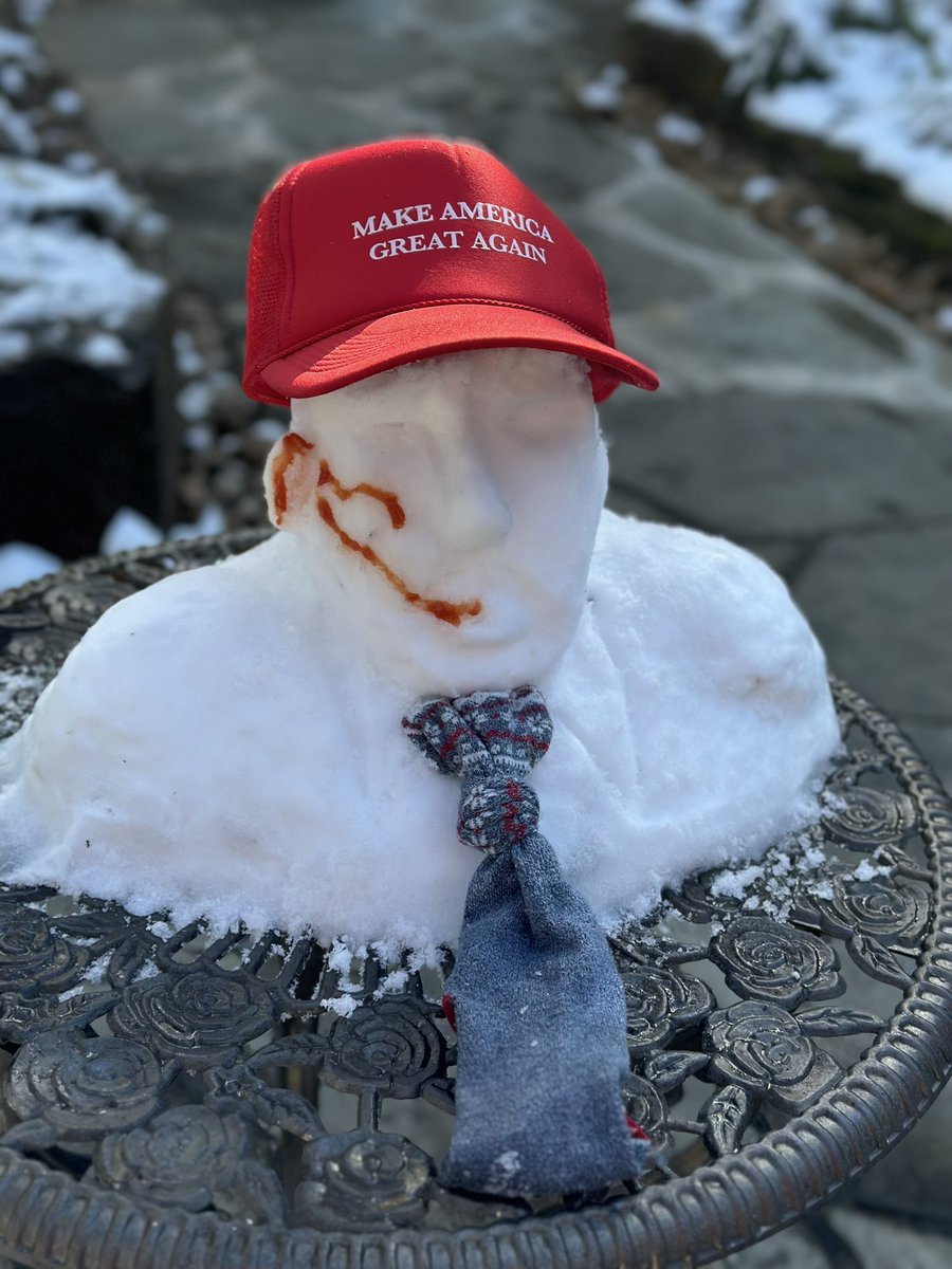 AmandaRossen's tweet photo. Building a snowman was a little hard for this Houston girl, so I decided to build a commemorative bust of my FAVORITE PRESIDENT! #FightFightFight
#houstonsnow #texasblizzard #Inaguration2025 #MAGA #SnowMan #TrumpInauguration2025 #houstonrealestate https://t.co/kTM4gvzDZc