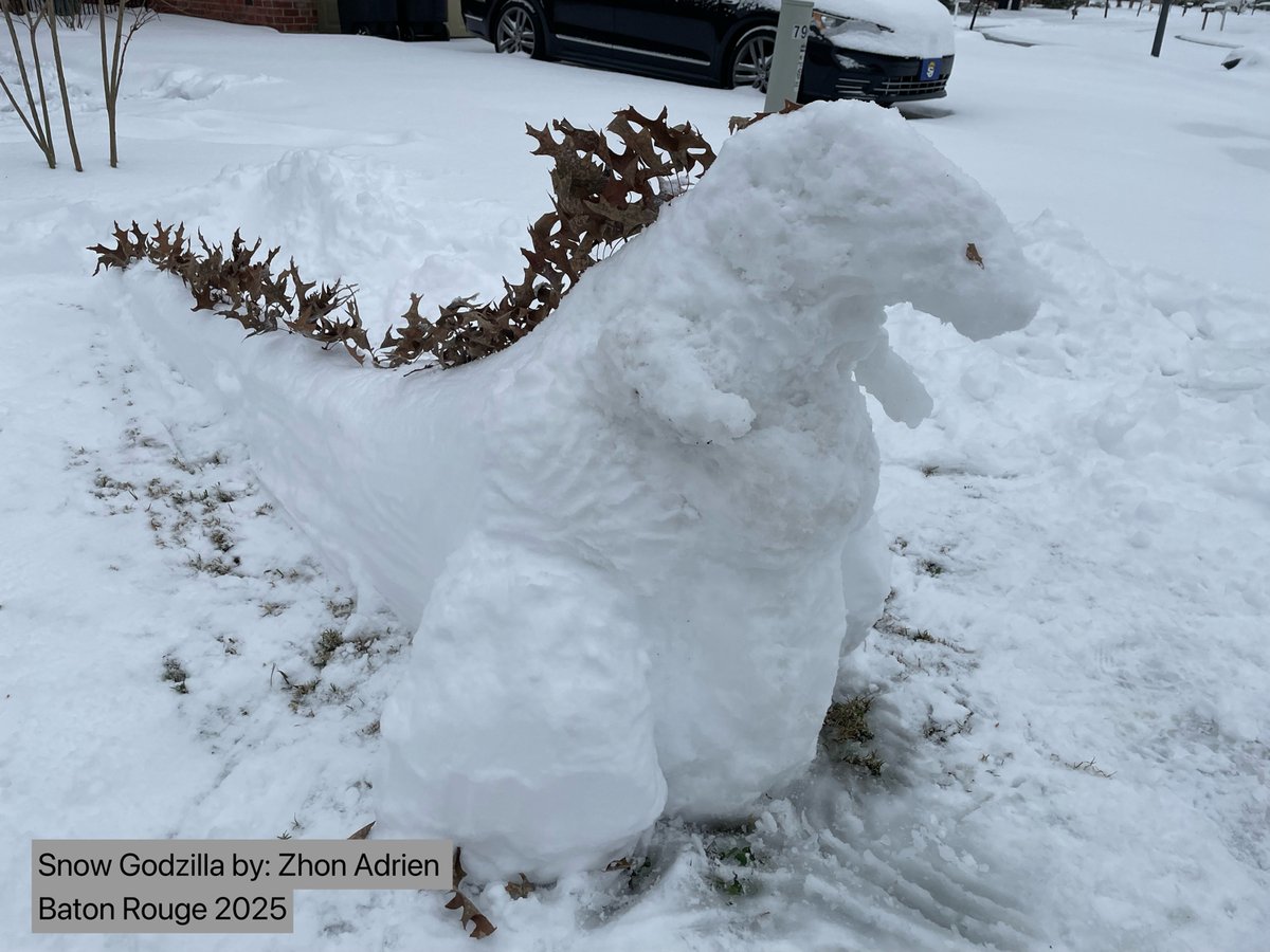 FOX8NOLA's tweet photo. We have a Sneauxzilla sighting in Baton Rouge! 📸: Zhon Adrien Garcia https://t.co/2oXmGB43jl