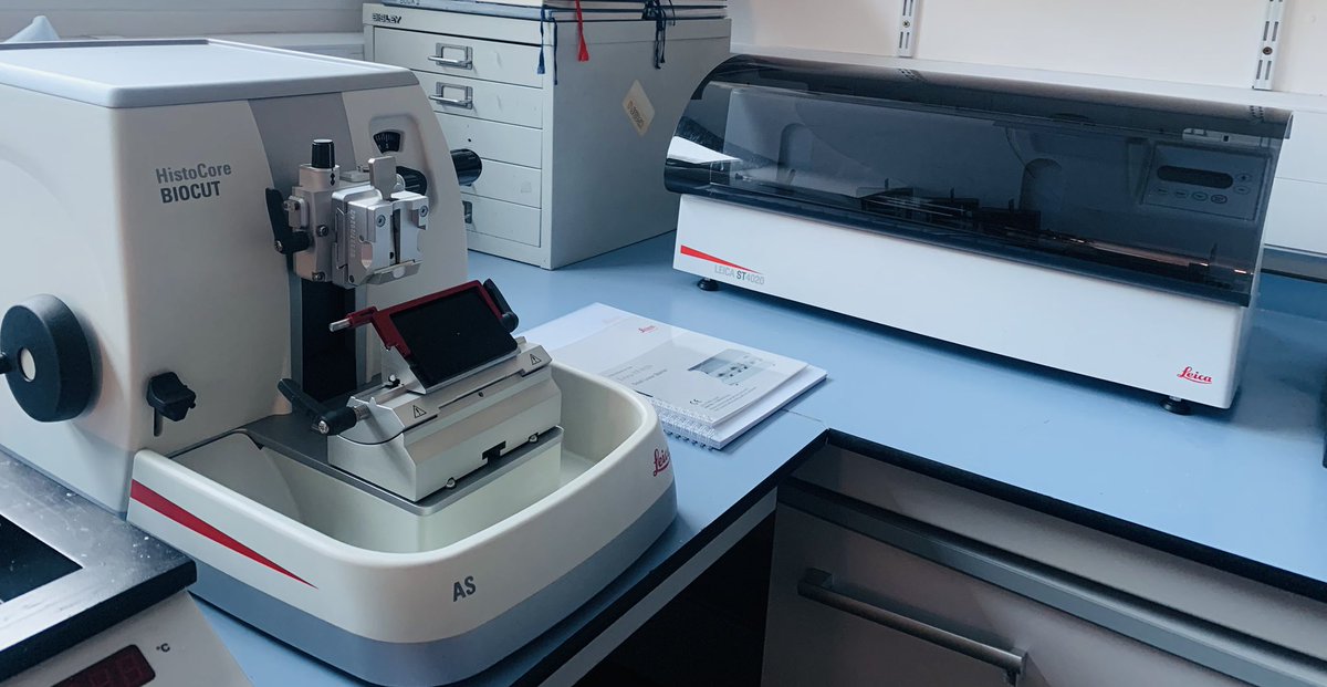 Paula Boeira, PhD (@paula__boeira) on Twitter photo Our new histology area is getting ready with new microtome & automated slide stainer. <a href="/HepatoPlymouth/">Hepatology Plymouth</a> <a href="/PlymUniResearch/">Plymouth Research</a> <a href="/RDInUHP/">Plymouth Research and Development Team @UHP_NHS</a> Our new histology area is getting ready with new microtome & automated slide stainer. <a href="/HepatoPlymouth/">Hepatology Plymouth</a> <a href="/PlymUniResearch/">Plymouth Research</a> <a href="/RDInUHP/">Plymouth Research and Development Team @UHP_NHS</a>