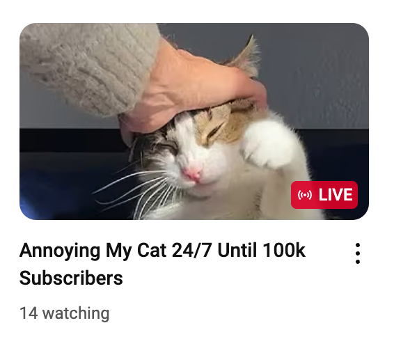 Cole Slydn tweet media