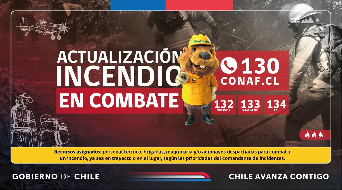 incendios_CONAF's tweet photo. ACTUALIZACIÓN #IFMoncoles, #LosSauces, #LaAraucania 
Superficie preliminar➡️1086 hectáreas.
Recursos asignados➡️6 técnicos, 1 puesto de mando, 8 brigadas, personal UAD, 2 skidder #CONAF y #Bomberos https://t.co/HEQhfLiGel