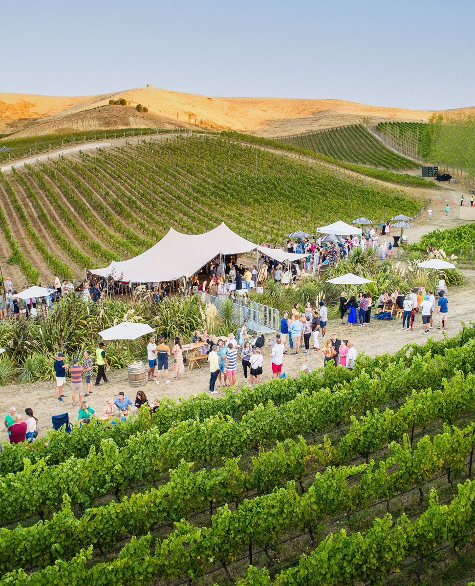 Greywacke tweet media