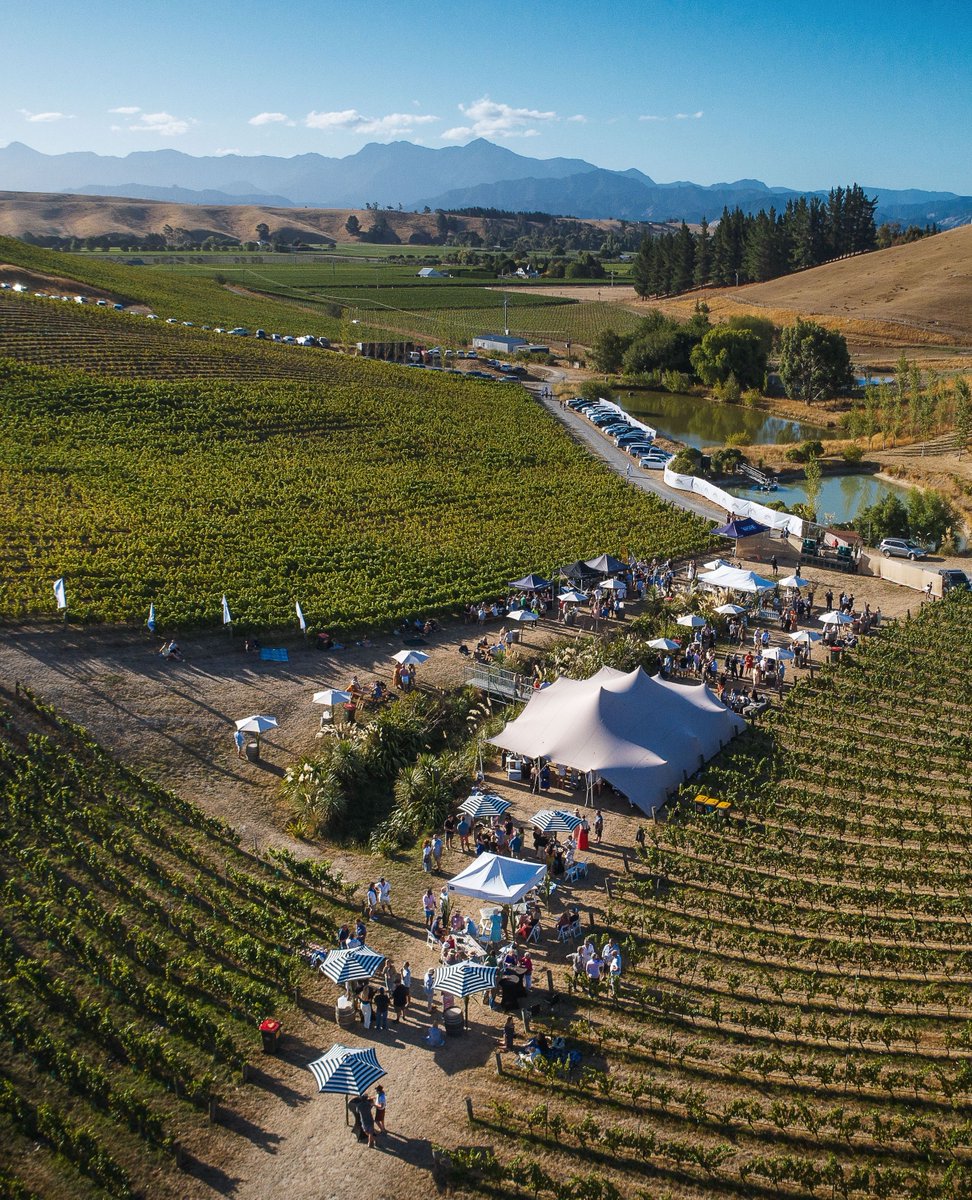 Greywacke tweet media