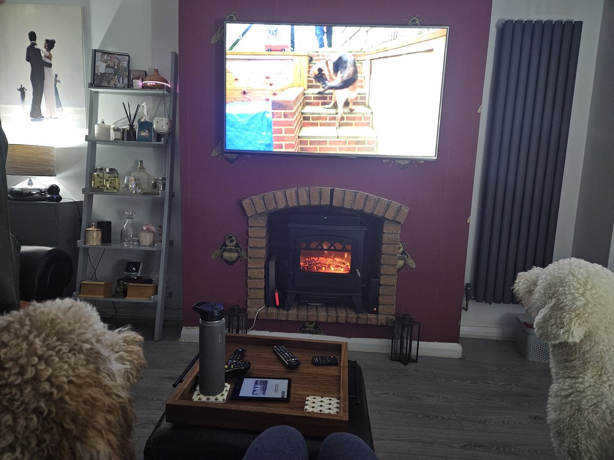 ayjayoh21's tweet photo. Paying attention in class.

Billie &amp; Bettie

@GraemeDogfather #dogsbehavingbadly #dogfather https://t.co/6OEB8CEZPZ