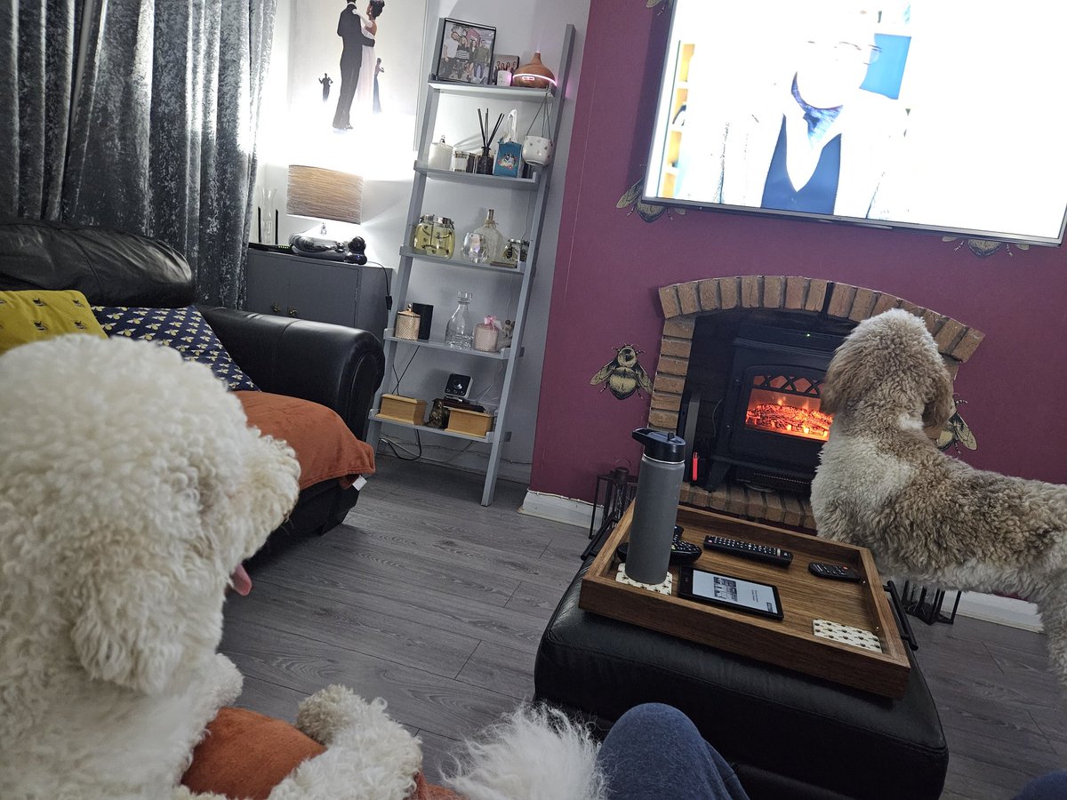 ayjayoh21's tweet photo. Paying attention in class.

Billie &amp; Bettie

@GraemeDogfather #dogsbehavingbadly #dogfather https://t.co/6OEB8CEZPZ