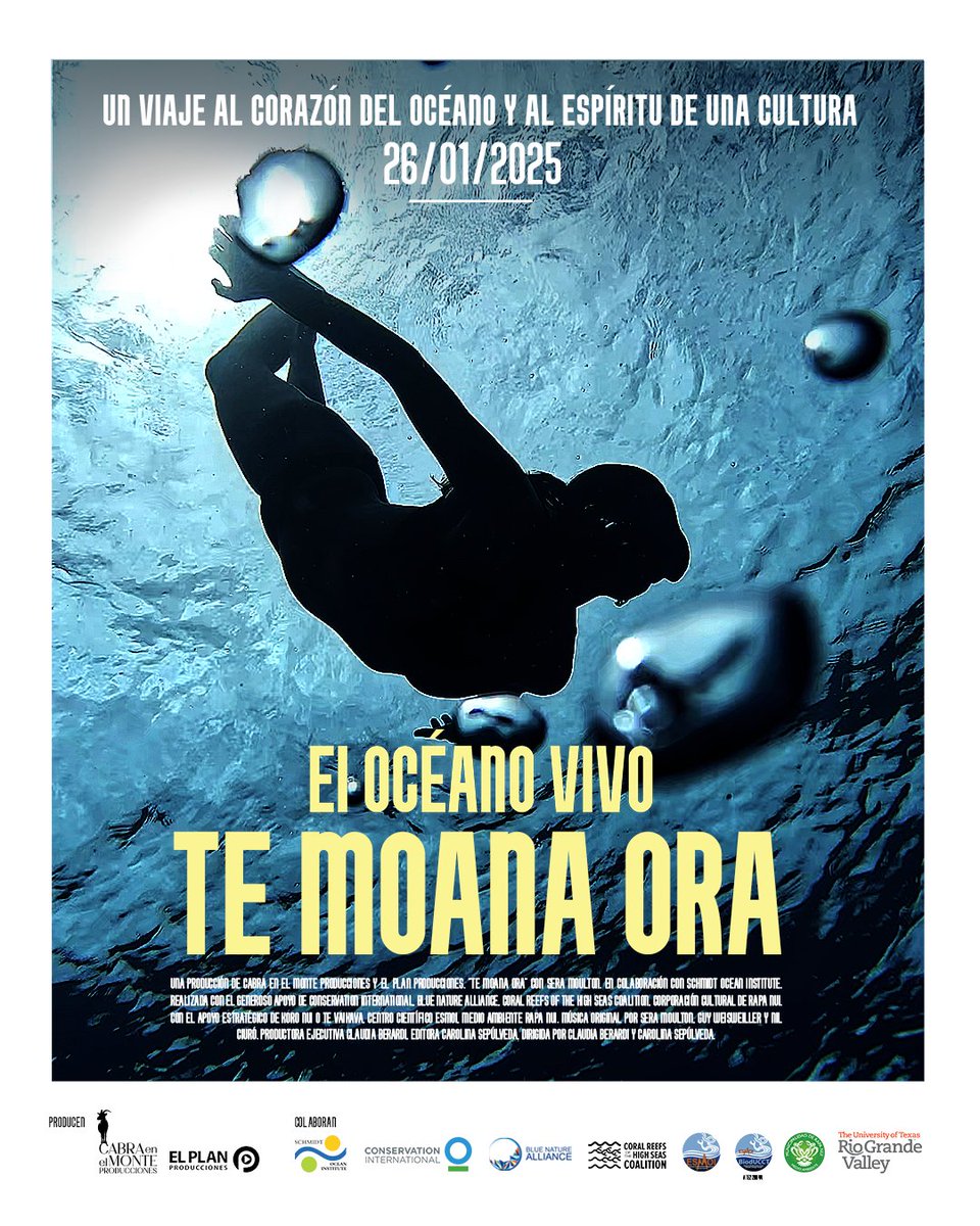 ESMOI (@esmoi_ucn) on Twitter photo ➡️#Estreno Exclusivo
🗓️Domingo 26 de enero  22:00 hrs Chile continental / 20:00 #RapaNui 🗿
▶️No te pierdas el estreno de Te Moana Ora  - El Océano Vivo 🌊🗿
🔺Solo por 48 h en el canal de YouTube de Mata O Te Rapa Nui: youtube.com/@mataoterapanu… ➡️#Estreno Exclusivo
🗓️Domingo 26 de enero  22:00 hrs Chile continental / 20:00 #RapaNui 🗿
▶️No te pierdas el estreno de Te Moana Ora  - El Océano Vivo 🌊🗿
🔺Solo por 48 h en el canal de YouTube de Mata O Te Rapa Nui: youtube.com/@mataoterapanu…