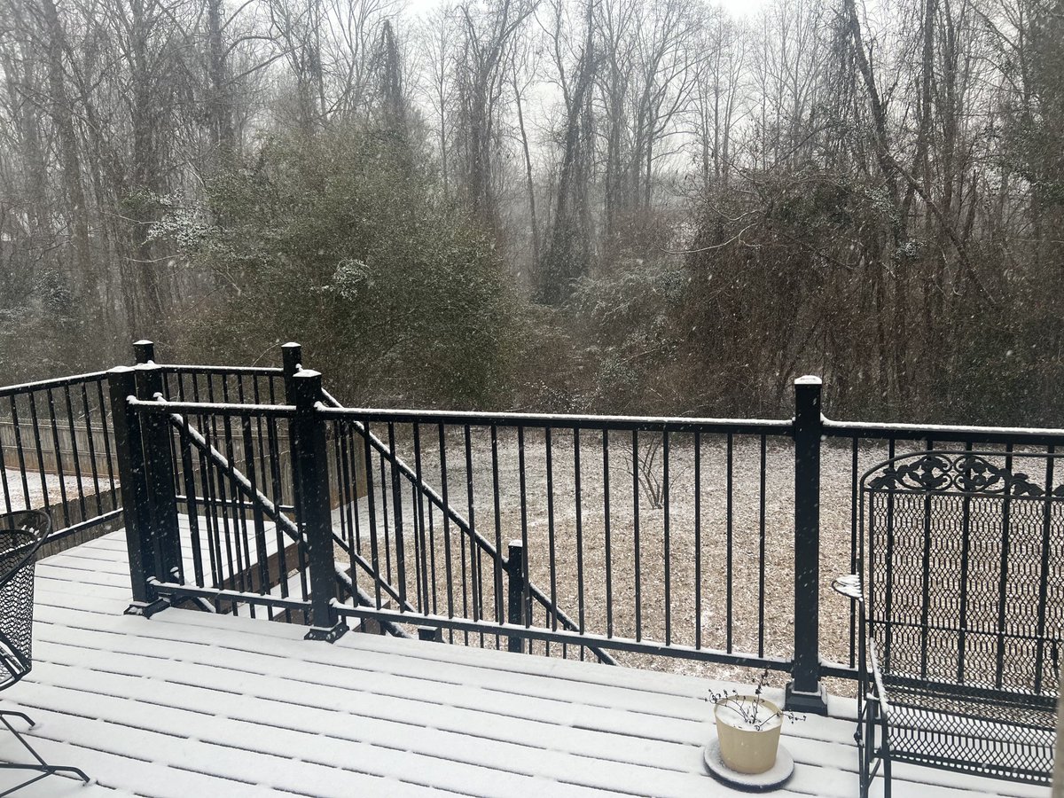 Georgia, meet Winter Storm Enzo.