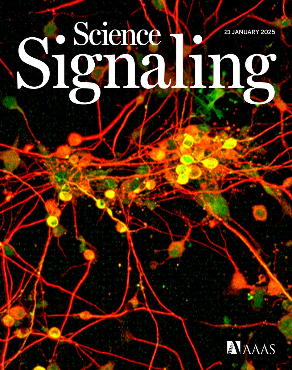 Science Signaling tweet media