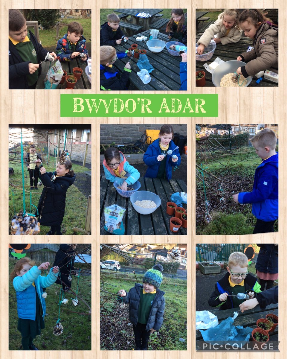 Dosbarth Mrs Thomas tweet media