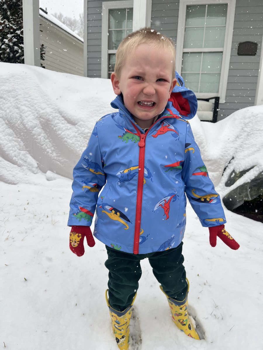 Instructional Data Solutions tweet media