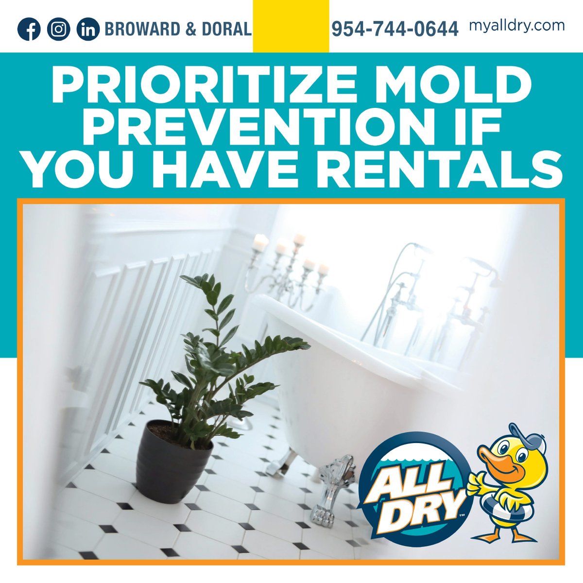 AllDoral's tweet photo. Prioritize Mold Prevention If You Have Rentals
Important reason:
1. Guest Health and Safety 2. Reputation Management
3. Legal and Financial Liability 4. Compliance with Regulations 5. Property Preservation. 6. Guest Comfort
7. Operational Efficiency 
All Dry Services https://t.co/GDYoQy0ZXW