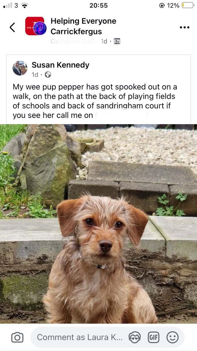 Was he on a lead? Was He On A Lead? WAS HE ON A LEAD???